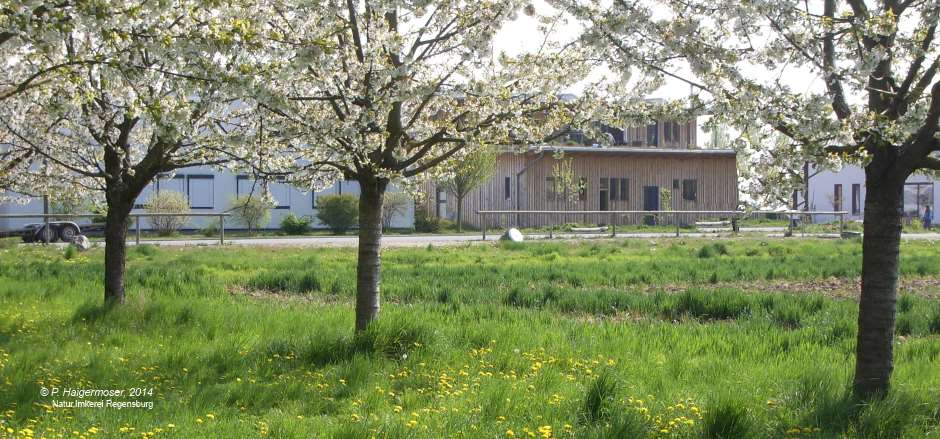 stadtfuehrungen-regensburgAssetsregensburg-sehenswertes-ausflugsziele ...