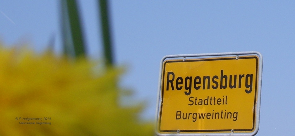 ... und Taxis Schlossfestspiele in der Weltkulturerbestadt Regensburg