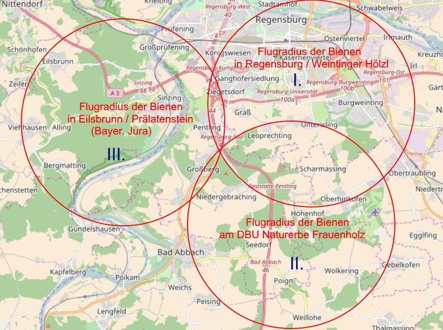 OSM_Karte des Fluggebietes