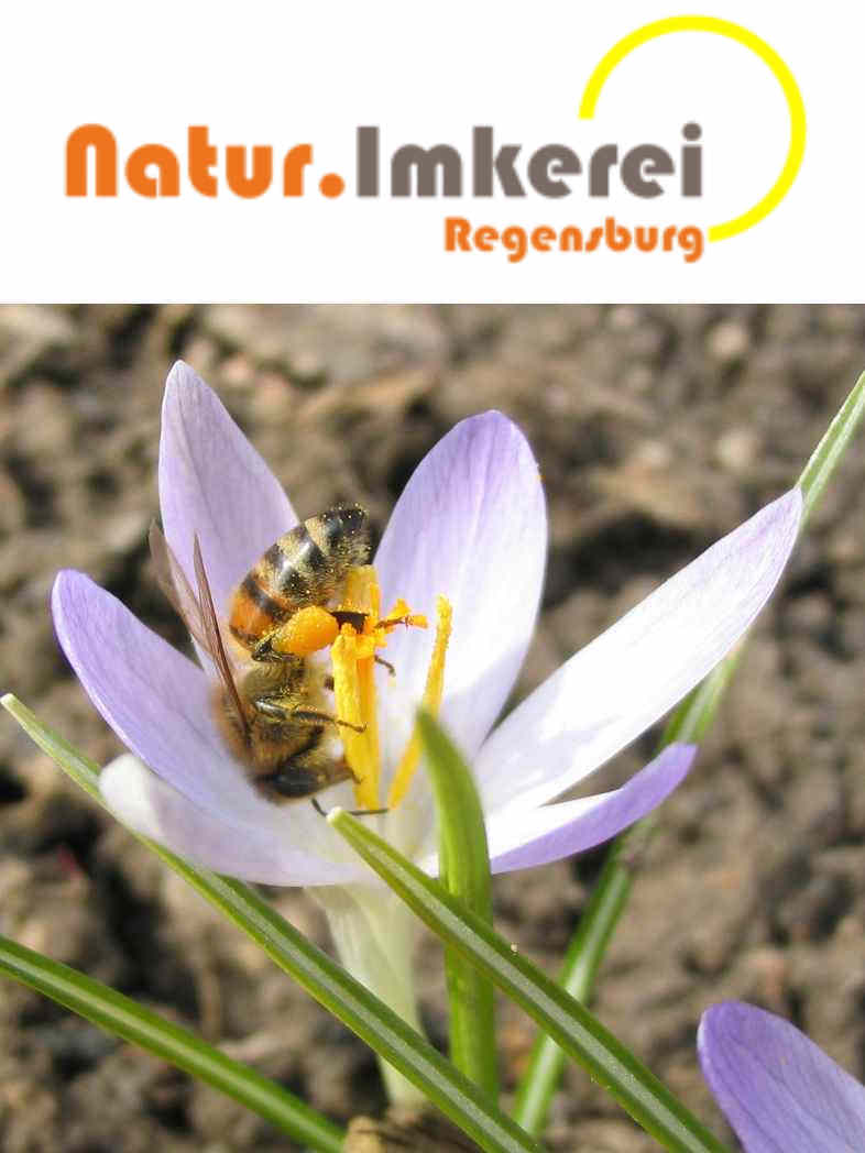 Natur.Imkerei Regensburg - Logo mit Bild