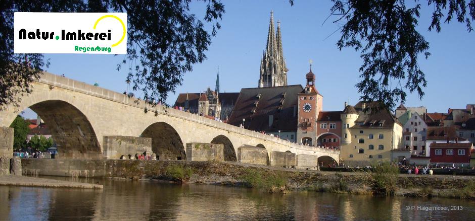 Regensburger Dom mit Steinerner Brücke